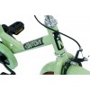 Bici Bambino Nogan Dutchy 12 pollici Verde