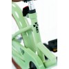 Bici Bambino Nogan Dutchy 12 pollici Verde